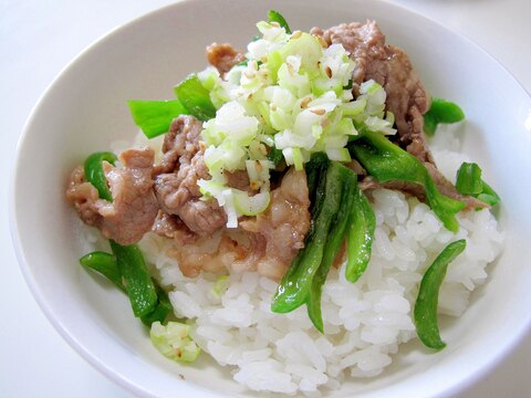 簡単✨ねぎたっぷり✨牛肉とピーマンの味噌炒め丼